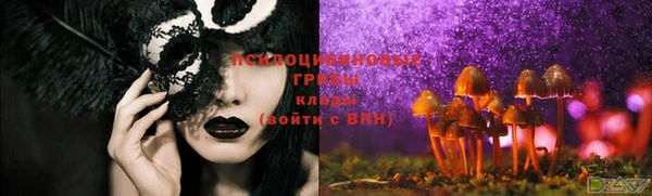 молекула духа Краснослободск