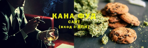 молекула духа Краснослободск