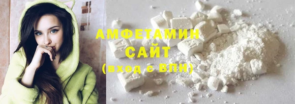 молекула духа Краснослободск