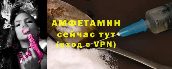 молекула духа Краснослободск