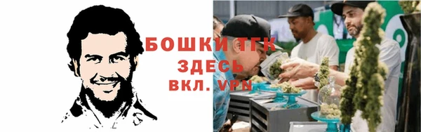 сатива Краснотурьинск
