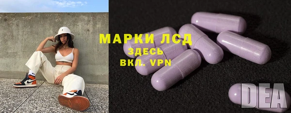 сатива Краснотурьинск