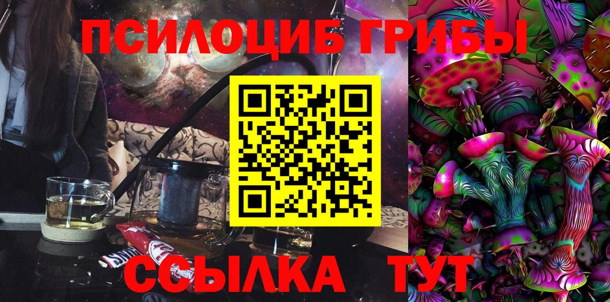 где можно купить наркотик  Дюртюли  Псилоцибиновые грибы мухоморы 