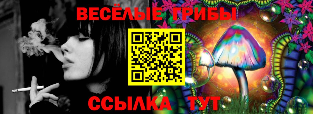 Галлюциногенные грибы Psilocybe Дюртюли