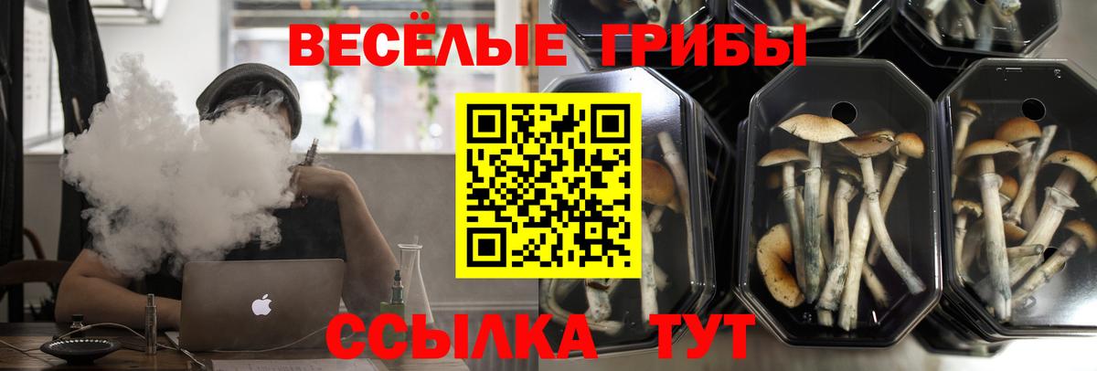 Псилоцибиновые грибы мицелий Дюртюли